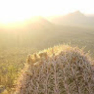 Meet your Posher, Jared